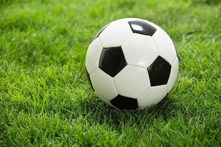 球队战术分析师